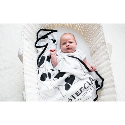 kosz mojżesza ahojbaby